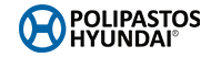 polipastos hyundai
